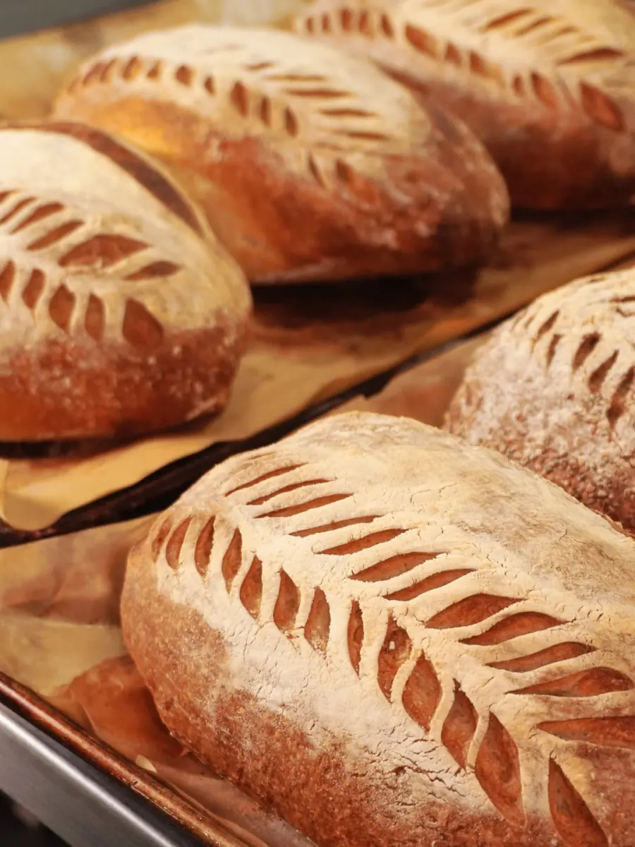 Panes de masa madre con greñado de espiga